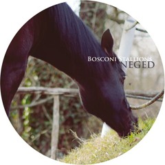 A Guy Called Gerald - Thu The Diehold [Bosco023 - Bosconi Records]