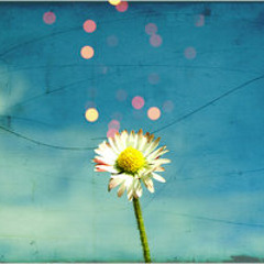 MadameHollywood - Es kribbelt im Fruehling