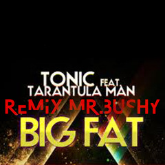 Big Fat remix Mr.Bushy