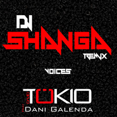 David Tökio feat. Dani Galenda - Voices Inside My Head (DJ SHANGA Remix)