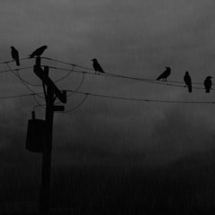 National Poetry Month:  "Prescribed Insanity, Two Thirds Grim" by Zefora