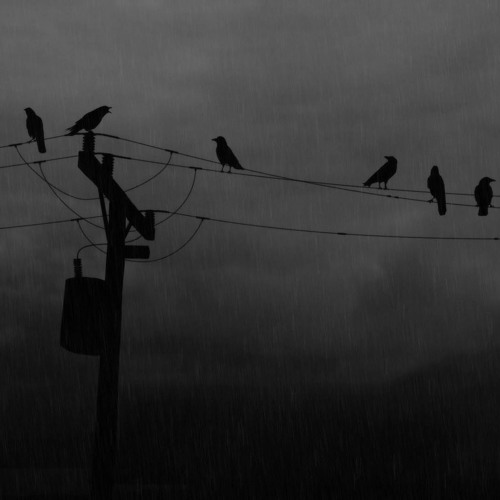 National Poetry Month:  "Prescribed Insanity, Two Thirds Grim" by Zefora