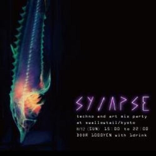 QNT - Concept Mix -Endless Summer- (2012.08.12 @ SYNAPSE)