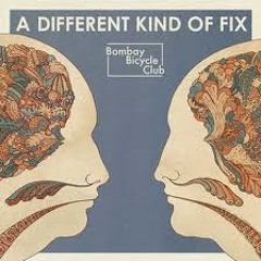 Bombay Bicycle Club - Shuffle COVER