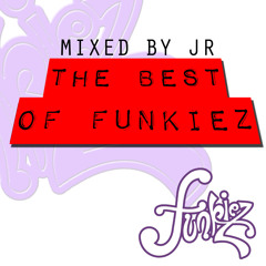 THE BEST OF FUNKIEZ (R.I.P MIX) - BY JR