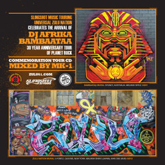 SLINGSHOT X ZULU 61 AFRIKA BAMBAATAA TOUR CD MIXED BY MK-1