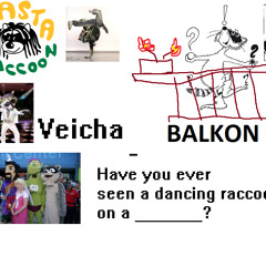 Have you ever seen a dancing Raccoon on a _______?
