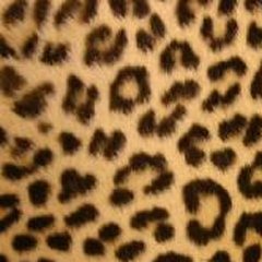 Dallas Ft Jay Ale - I Want It