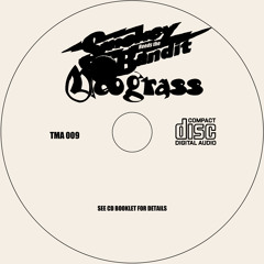 Neograss - "Smokey Reeds the Bandit" Part VI : Trans-Am Coda