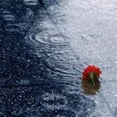 Lặng Yên - Thùy Chi