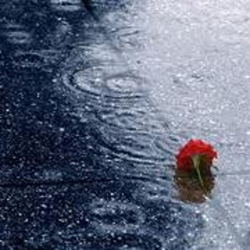 Lặng Yên - Thùy Chi