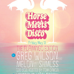 Springtime Disco Bodcast for Horse Meets Disco - The Flamingo Edition by Odd Bod