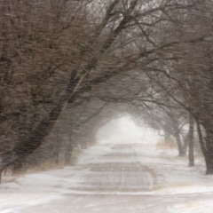 The Pack Ep. 1 (Feedpack pls!)