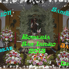 SaniBreaks 2013 by Dj Luisge