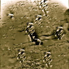 First Ascent