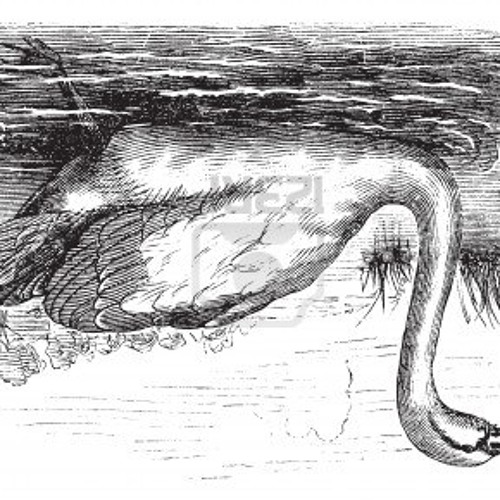 Nervesammenbrud kolbe forbedre Stream 113: 253 - Black Swan (Thom Yorke) by kronofonika | Listen online  for free on SoundCloud
