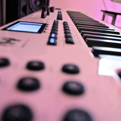 #shakedatass HD (2116kbs)