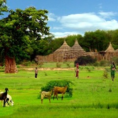 sudani