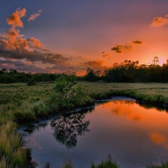 Strings Dramatic (Demo)