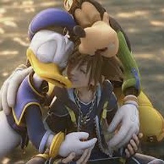 ~Kingdom Hearts~