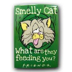 Maija - Funky Pussy(Ft. Spank & Mr. Flemin)