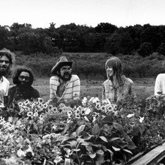 Blackbird by Country Heir