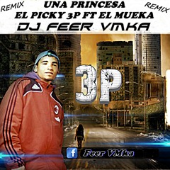 UNA PRINCESA - EL PICKY 3P FT EL MUEKA  DJ FEER VMKA²²