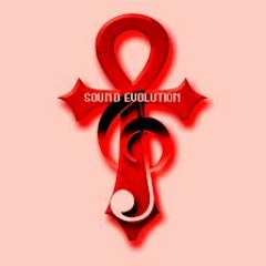 Sound Evolution I
