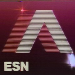 EGYPTIAN SPORTS NETWORK