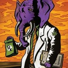 Purple Prod. The Ivy Club