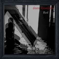 'The Red Harbor' (Ep: 'Red' on 'manyfeetunder' netlabel, free download)