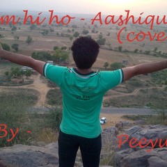 Tum hi ho (Aashiqui 2 cover) 2013 - Peeyush