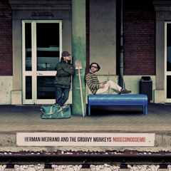 HERMAN MEDRANO & THE GROOVY MONKEYS - SITO FORA feat. Natalino Balasso
