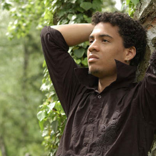 Un cèdre sur le toit - Jann Halexander