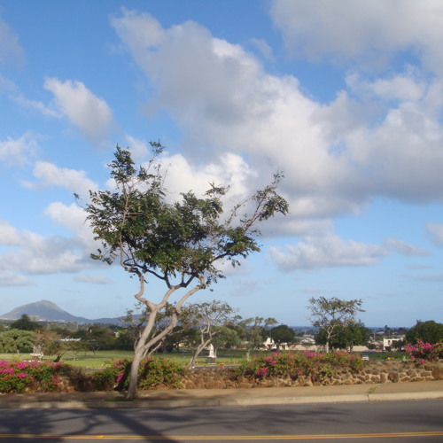 Lady Of Waihole- Yangko