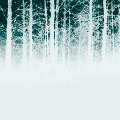 nocturnal soundtrack