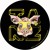 Artwork for Animal Swing Kids - Wer nicht goldet der gate -podcast-Can Hlubek
