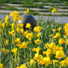 Klangwiese im Orangen Garten der Migros - Remember Spring