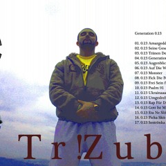 02. Tr!zub - 0.13 Seine Geschichte
