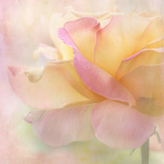 The first dance (Monica Xiao, Piano Droplets)