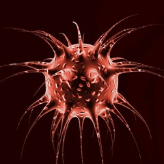 Soundscape Series Vol. 32 - The 10th Lifeform