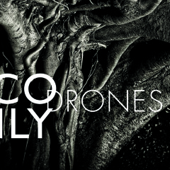 Bruce Brubaker: Nico Muhly's Drones - Part V