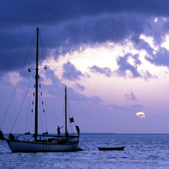 Adventure on the Sea