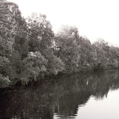 en sang uten navn (2008)