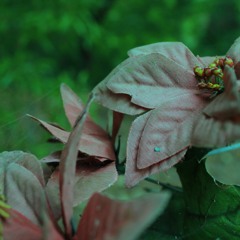 Experimental Thing :)