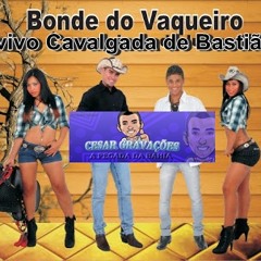 GALERA  UMA FAIXA DO SHOW  DO BONDE DO VAQUEIRO NO BASTIÃO 2013
