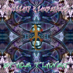 Goawizzard&Zaubergeist - Spaceplanet [Promo-Mix]