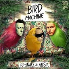 DJ Snake - Bird Machine feat. Alesia (BRODY Remix)