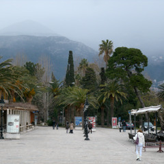 Edge of the Forest (2012)