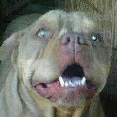 Rap Battle Intermission freestyle